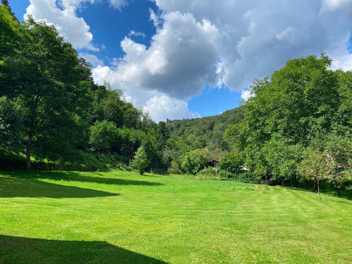 La Araucania, 2 Personnes - Wifi Rombach-le-Franc Eksteriør bilde